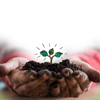 We hebben wat moois bedacht voor de Nooterhof. En kijk! Wat we enkele weken geleden hebben geplant groeit al! Benieuwd wat het gaat worden? Volg ons officiële Twitteraccount: x.com/DeNooterhof  
<a href="/DeNooterhof/">De Nooterhof</a>