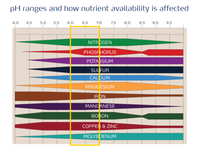 OptimumTurf Yara Crop Nutrition tweet media