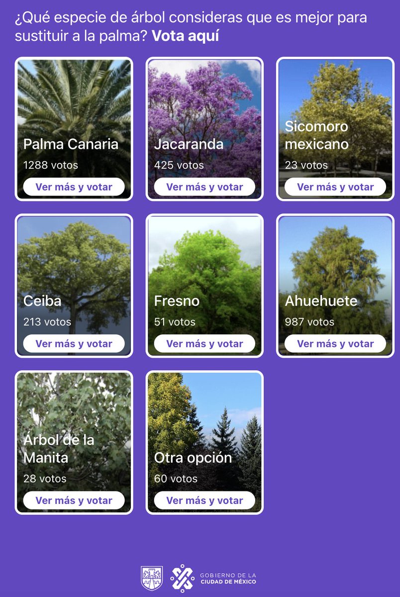 Hoy todos tenemos la oportunidad de contribuir para decidir qué árbol ocupara el espacio de la Palma de Reforma. 

Yo voy por Ahuehuete 

Participen en lapalmadereforma.cdmx.gob.mx