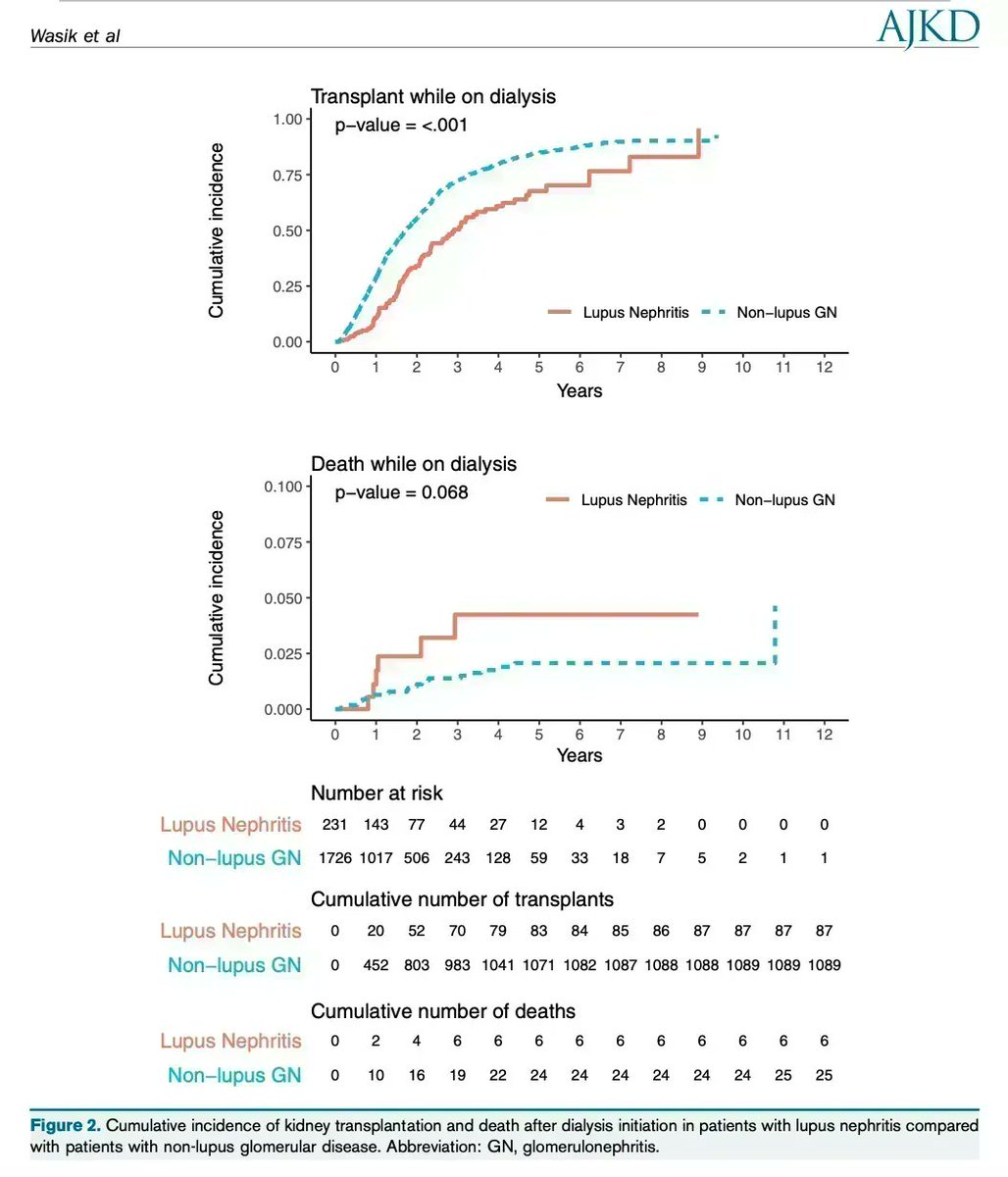 Dialysis Outcomes for Children With Lupus Nephritis Compared to Children With Other Forms of Nephritis: A Retrospective Cohort Study

buff.ly/3Ea5lNF

<a href="/HeatherWasik/">Heather Wasik</a> <a href="/funsocdoc/">Brad Warady</a> #lupus #dialysis #pedneph
