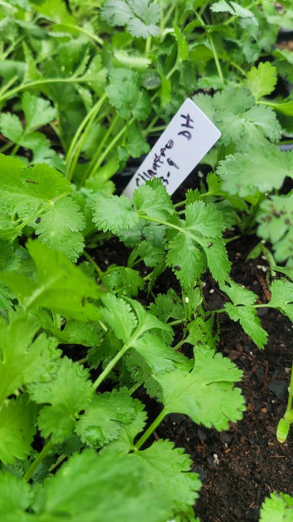 DCGBotany's tweet photo. https://t.co/t05nHtfjbJ