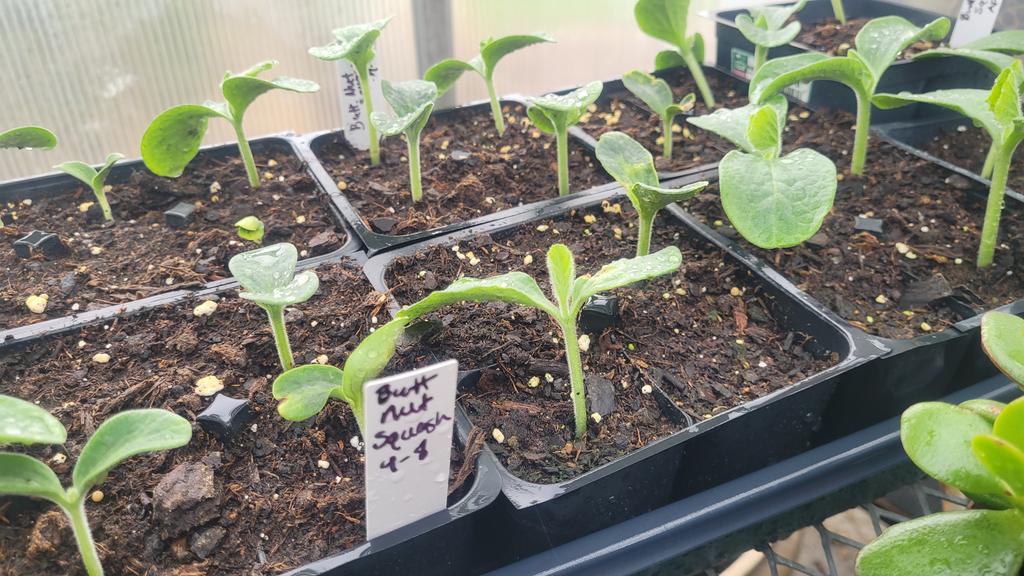 DCGBotany's tweet photo. https://t.co/p4fLJCLxnY