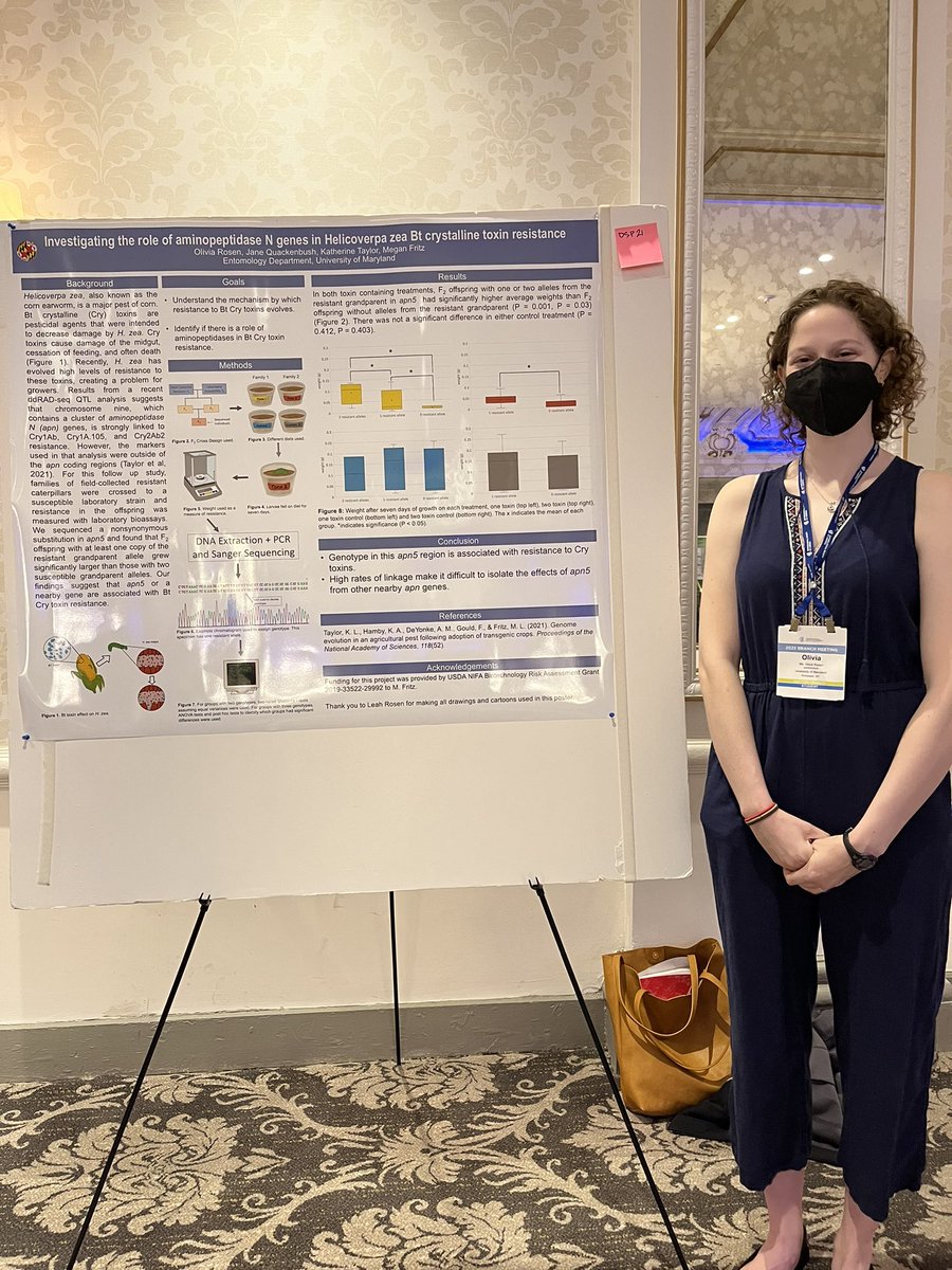 umdeso's tweet photo. Check out the @UMDEntomology undergrad posters at #EBEntsoc22 @EB_Entsoc Awesome #btcorn research with Olivia, Jane and Dominique on the Fritz lab! @MosquitoDoc https://t.co/nVH3ZLZwHw