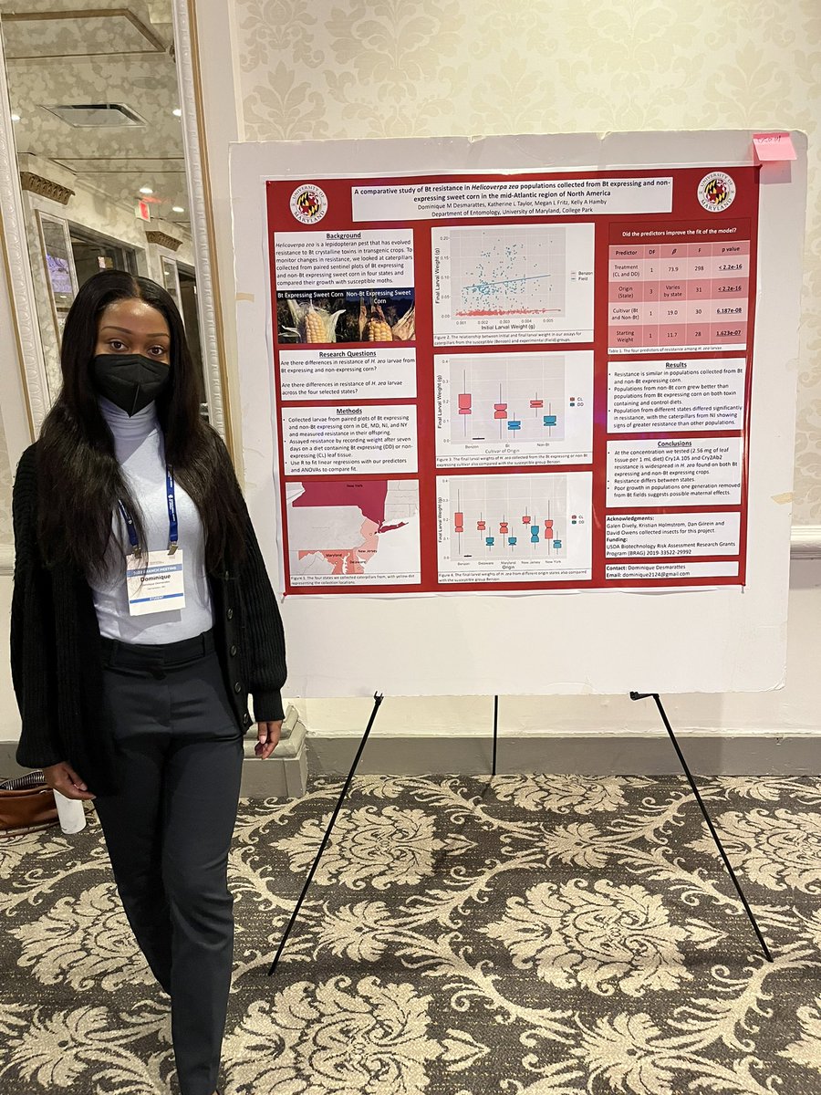 umdeso's tweet photo. Check out the @UMDEntomology undergrad posters at #EBEntsoc22 @EB_Entsoc Awesome #btcorn research with Olivia, Jane and Dominique on the Fritz lab! @MosquitoDoc https://t.co/nVH3ZLZwHw