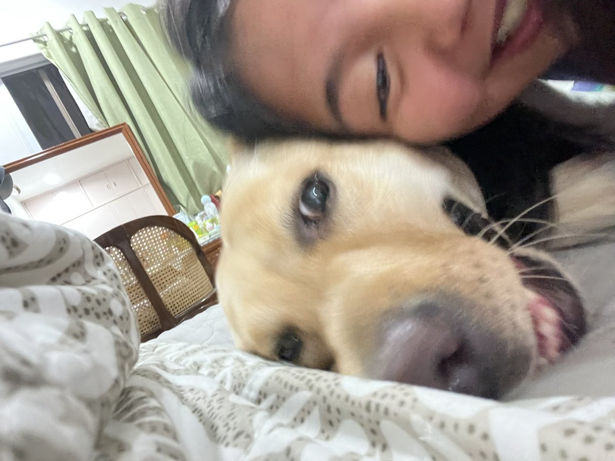 alexiselorde's tweet photo. hehe pupper check🐶 https://t.co/WuitxZBSkl