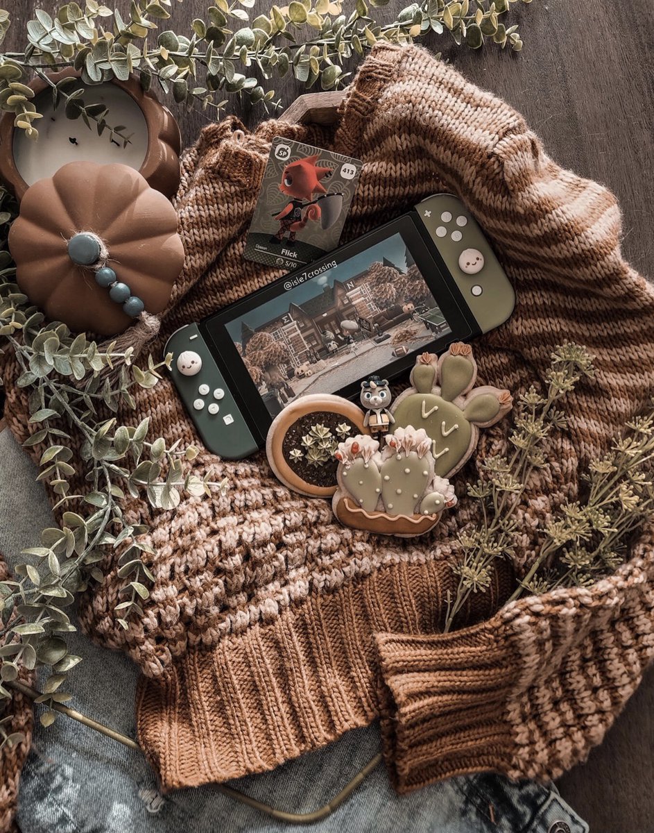 mia 🦔 tweet media
