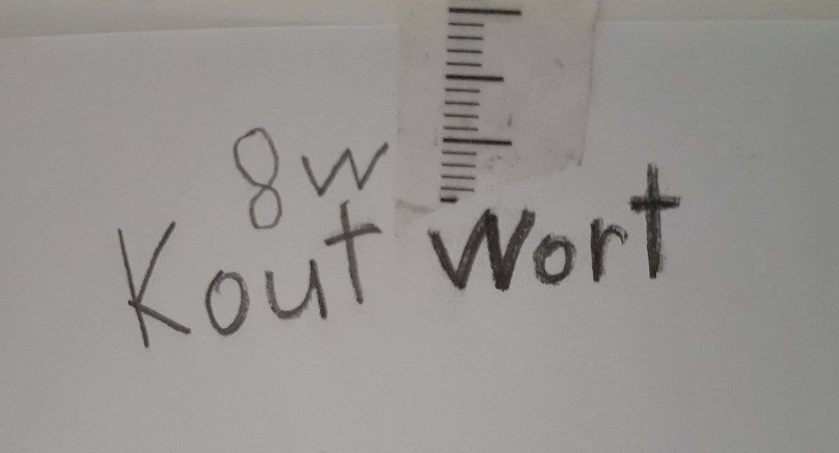 gue_marx's tweet photo. Für den Zutritt zum Zimmer vom Junior braucht man jetzt ein #Codewort 😂 was das 8w bedeutet weiß ich noch nicht 🤔 https://t.co/uo0e1EMfwe