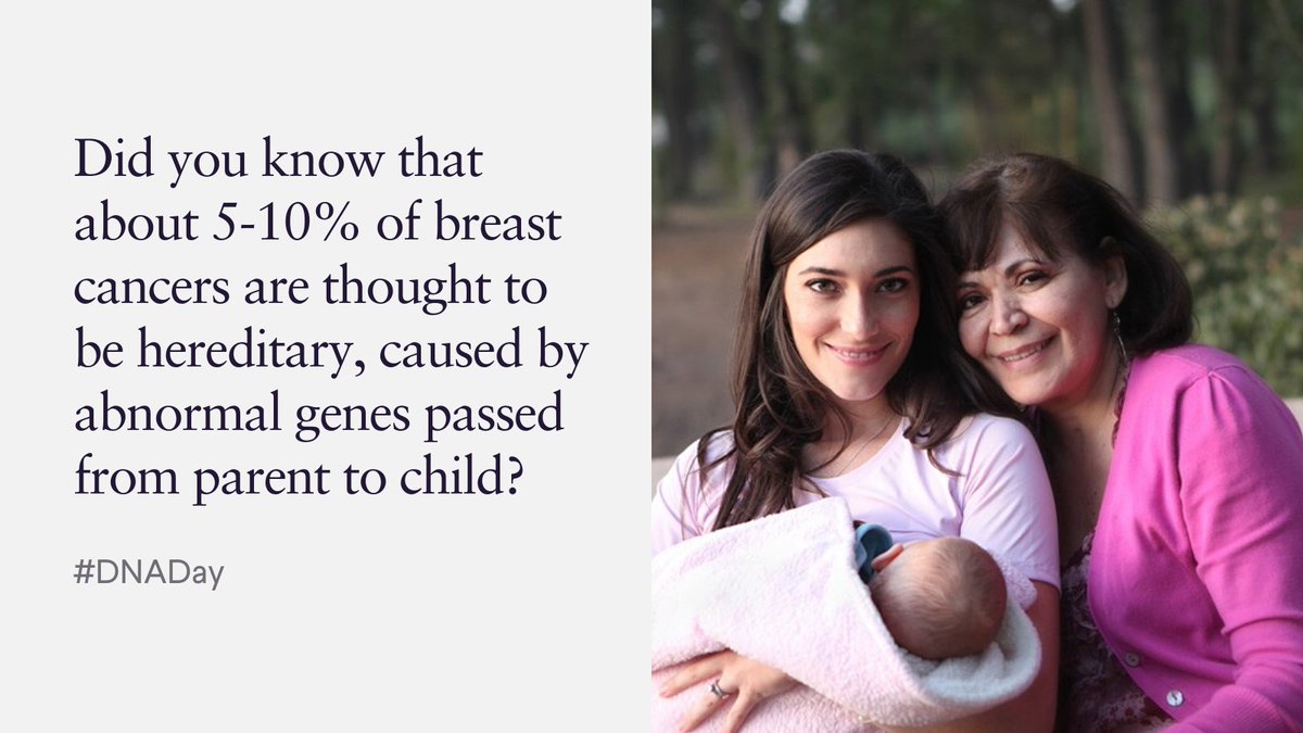 Breastcancer.org tweet media