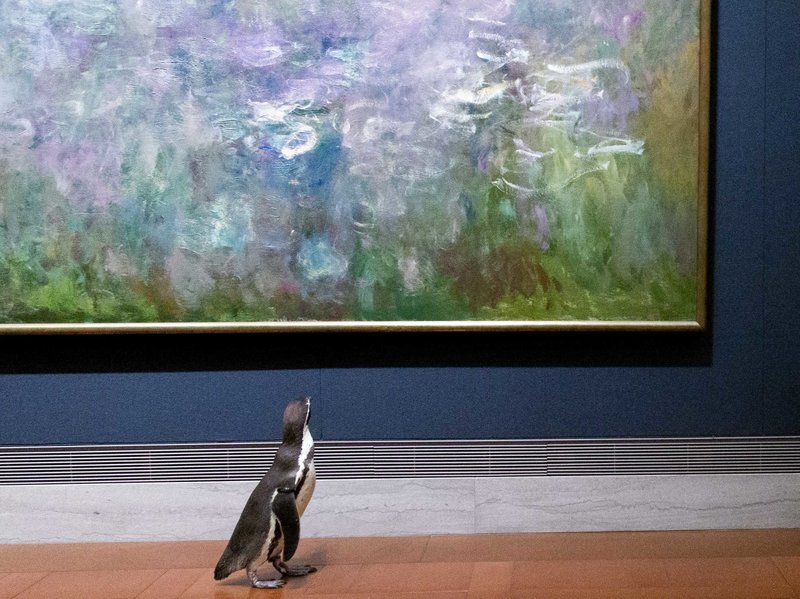 belessence's tweet photo. Today is Global Penguin Day!  Give the penguin in your life a hug!  You can also donate to @PENGUINS_GPS https://t.co/U44cAlyBcT  In honor of the day, we have added Global Penguin Society to our Give 10 Get 10 program and will donate 10% of your order to this great charity. https://t.co/tQdUOCuToj