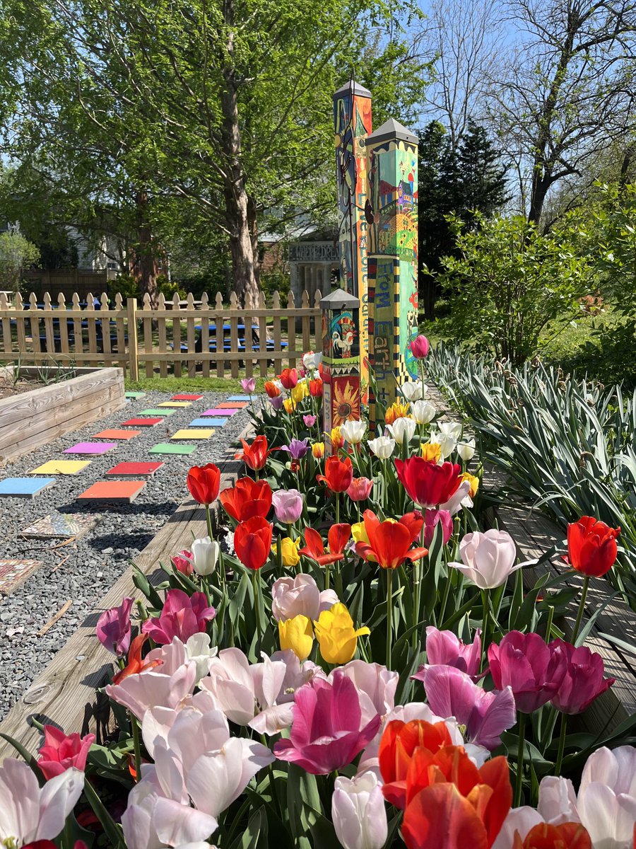 ⁦<a href="/TuckahoeSchool/">Tuckahoe Elementary School</a>⁩ Peter Rabbit garden looking amazing w kid-planted tulips and freshly painted stepping stones. Students use and enjoy this outdoor education space daily #tuckahoerocks ⁦@TuckPrinc⁩