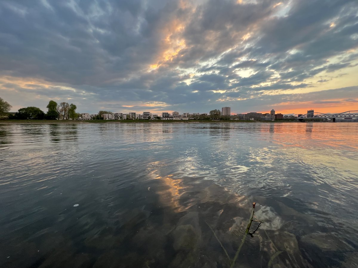 My 40 sunsets - like a melody that just started playing and faded. I let it go but keep four lessons: Our souls grow by giving; I can only give from what I have; Grief is love that has no place left to go; If we are luck e have~4000 weeks - focus. My 41 sunrise next!
#reflections