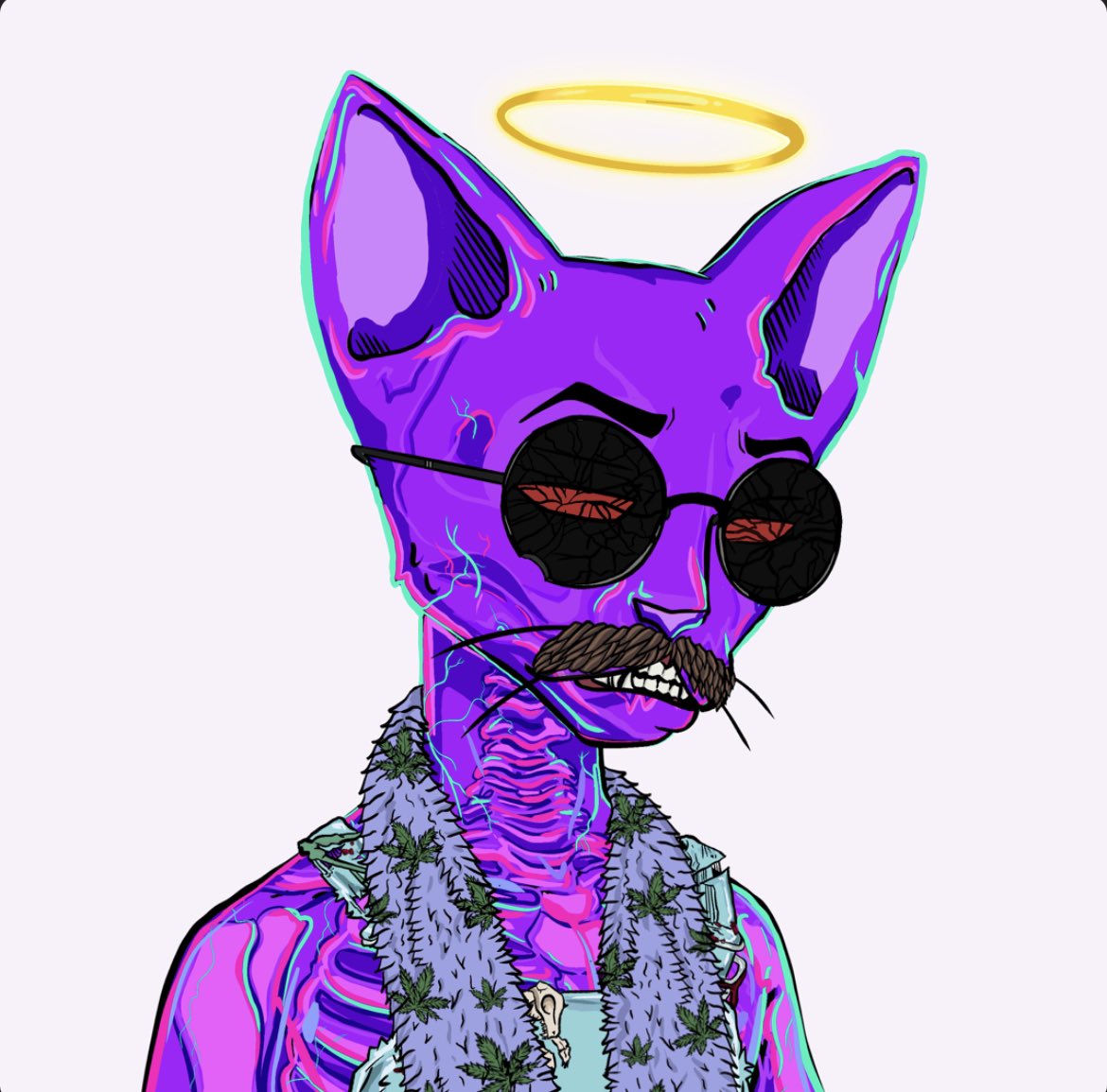 ★ cassette.sol {6.9} ★ tweet media