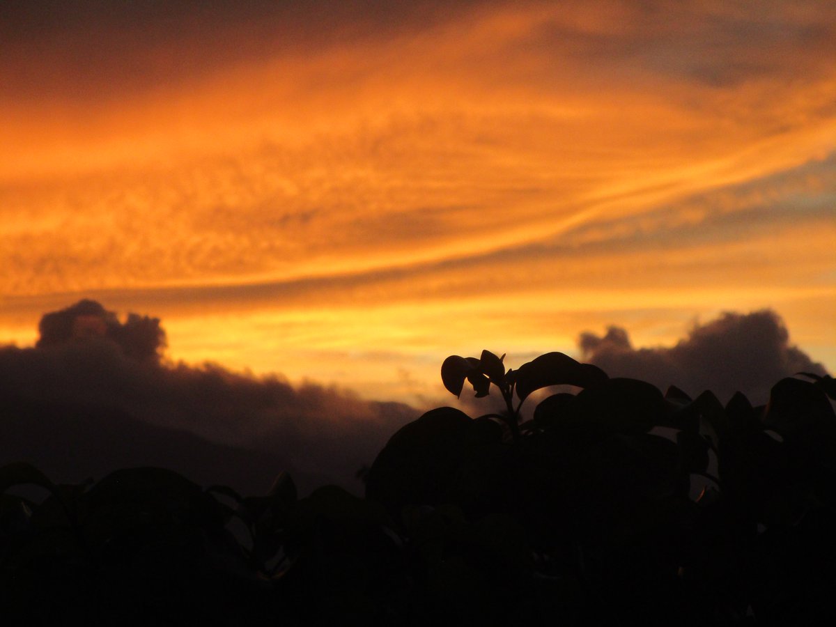 MM89464588's tweet photo. おはようございます。フォ－ベスヒルの丘の黄昏、南国の夕焼けも情緒がありますよ！！ https://t.co/GTp3Q8rpyw