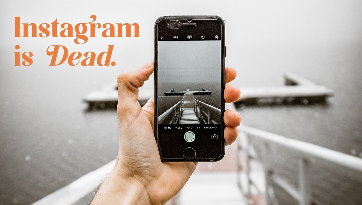 𝑀𝐴𝑁𝐺𝑂 𝑆𝑇𝑅𝐸𝐸𝑇 tweet media