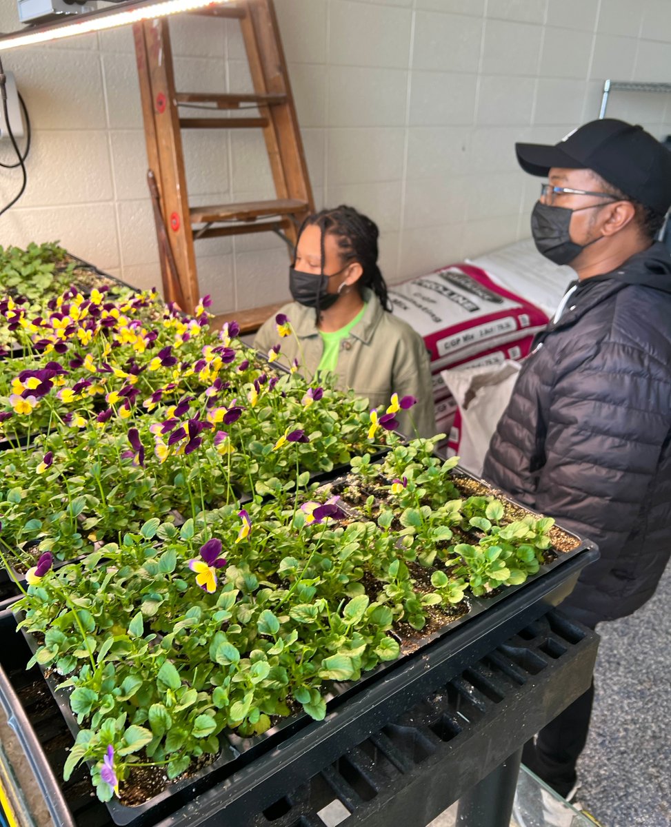 walnut_way's tweet photo. The North Division Greenhouse grand opening happened last week!
We had a few team members speaking on behalf of Walnut Way, and sharing how we worked in partnership with North Division to complete the greenhouse renovation project.
#lindsayheights #walnutway https://t.co/rGEeWudUZd