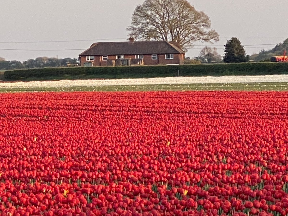 outlaw70.3 (@toothfairy963) on Twitter photo 