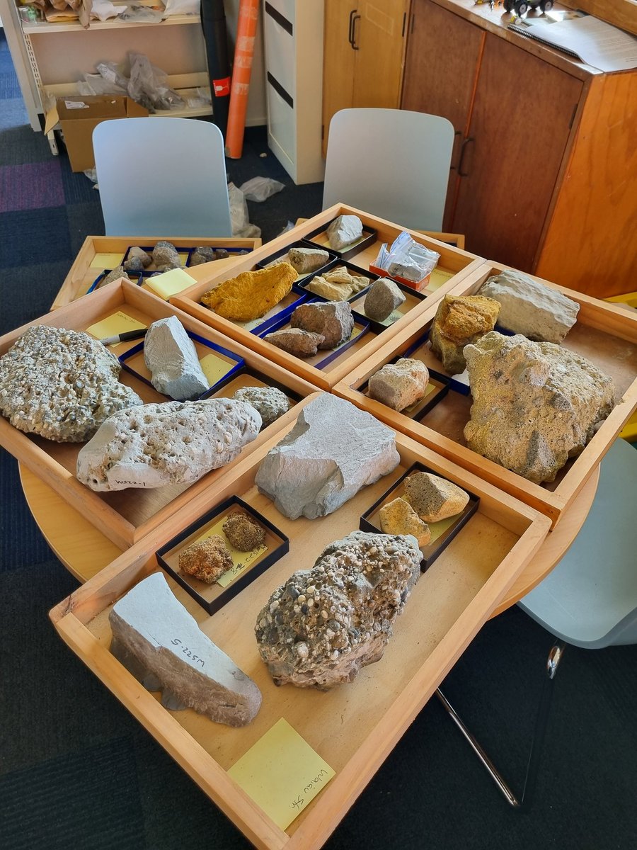Rocks prepped for our virtual fieldtrip starting today. Check out the earthsci 320 trip at aucklandvirtualfield.cloud.edu.au <a href="/NZSeds/">Dr Lorna Strachan 🌊🔨</a> <a href="/NZgeoscientist/">James Muirhead</a>