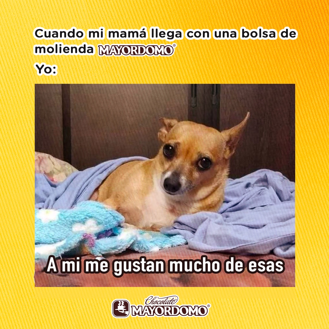 #felizlunes #ChocolateMayordomo