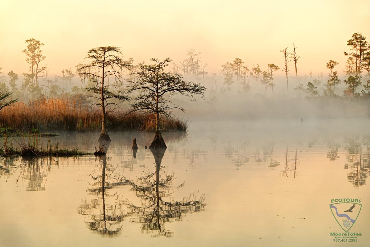 TagBoard61's tweet image. This is a gun.