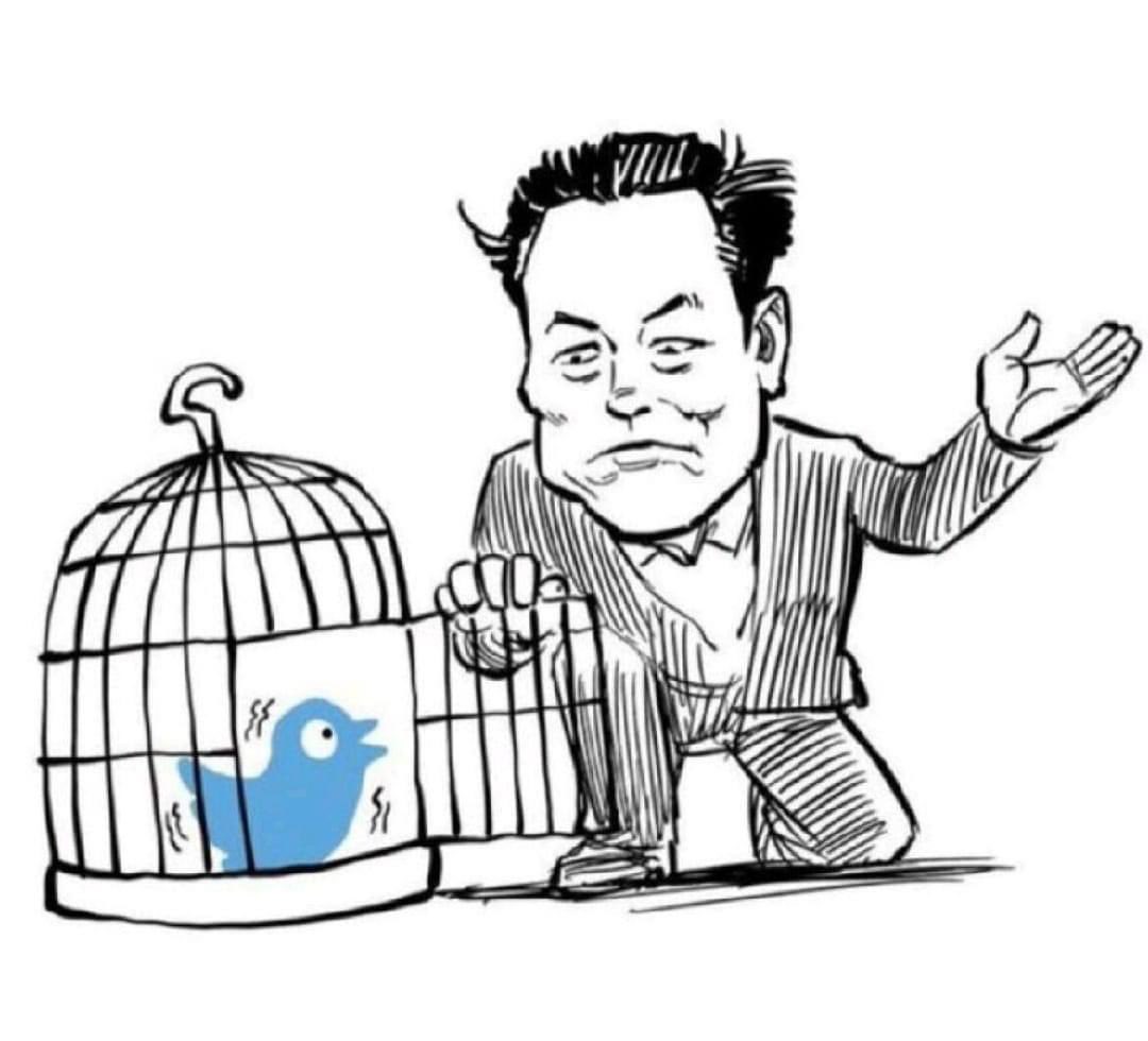 Salim Menikh tweet media