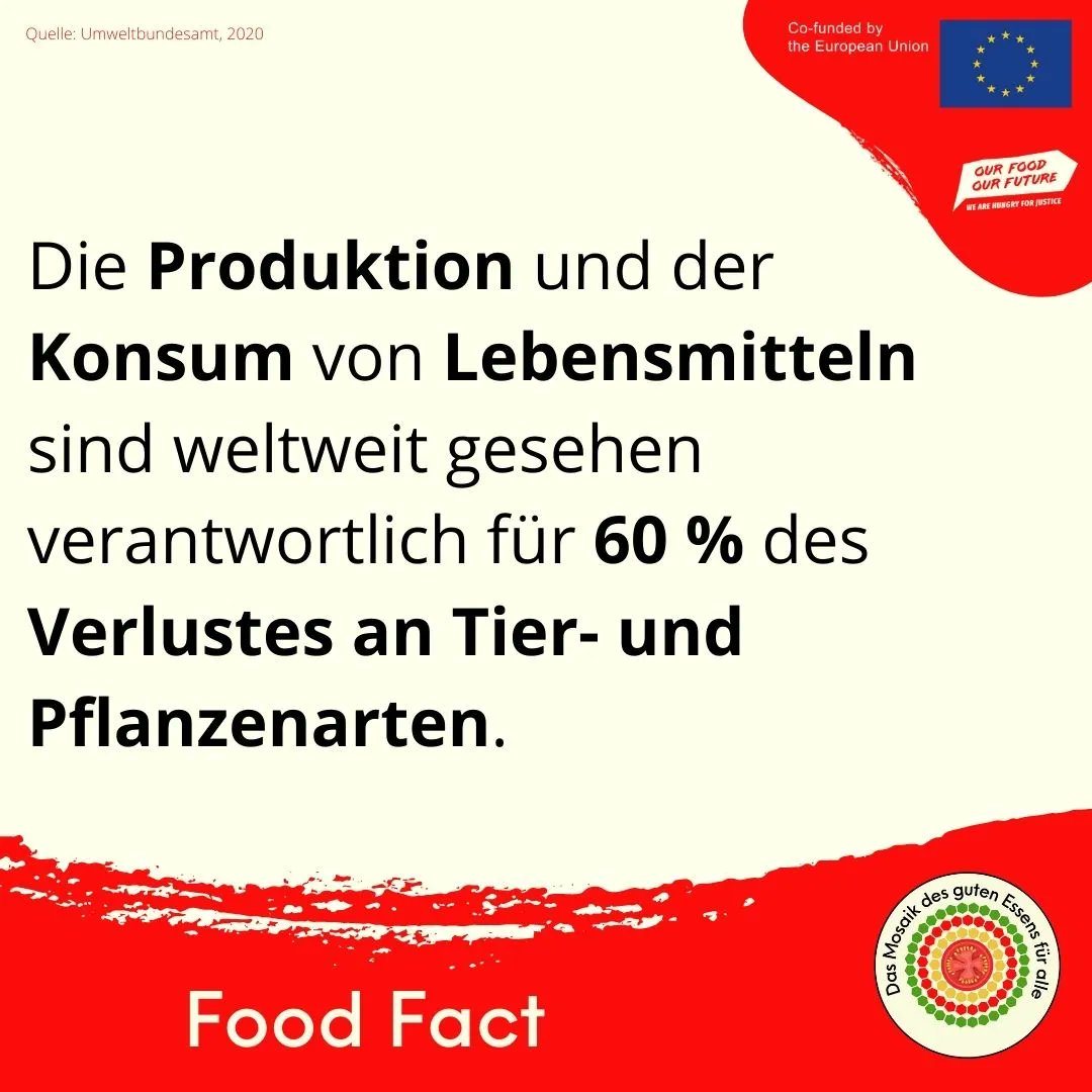 gutes_essen_'s tweet photo. #DEARprogramme #OurFoodOurFuture #Lebensmittel #Tiere #Pflanzen #Konsum https://t.co/s6sf8yxQ8N