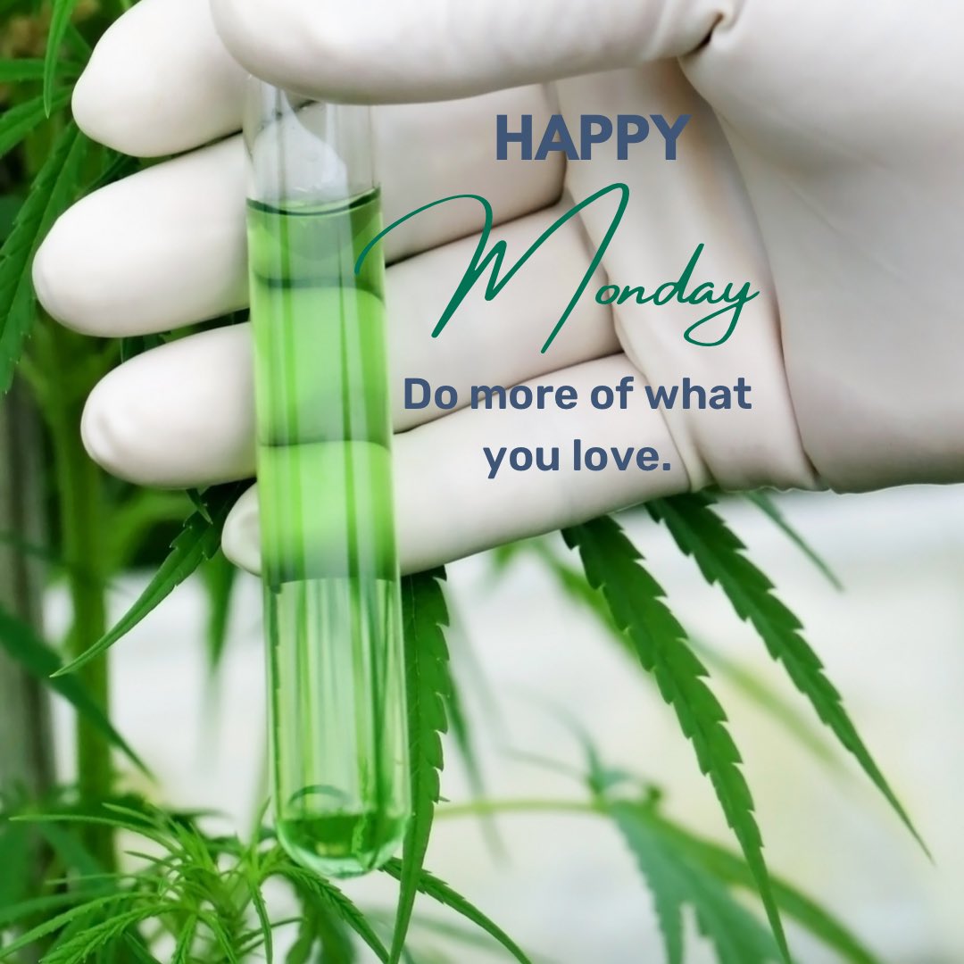 KAS_analytical's tweet photo. Happy Monday! Do more of what you love โค๏ธ
#happymonday #hemptesting #hemp #cannabis #kennebecanalytical #kennebecanalyticalservices #CBD #delta8 #cannabinoids #science https://t.co/fNqP7pIL42