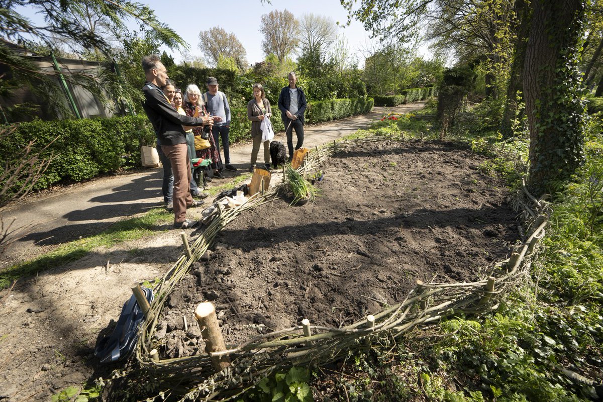 We zijn blij met de mooie plek, die <a href="/OnsBuitenLeiden/">Ons Buiten Leiden</a>
ons beschikbaar stelt voor de weesplanten (planten die na een struikroofactie geen thuis krijgen). 20 april was de opening van onze #roverstuin.