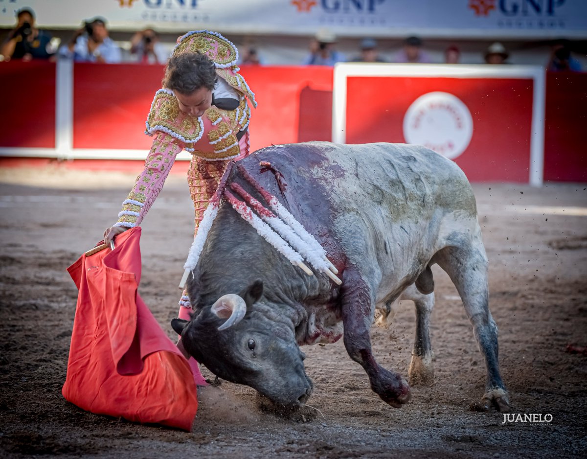 JuaneloFoto's tweet photo. 🇲🇽🇪🇸🏟️O sea como te explico en tres imagenes como fue la corrida de ayer en la Plaza Monumental @SerialTaurino , como te digo de manera sencilla que fue lo que paso ahi ?... Ok ya lo digo... @Matadorjps @RocaRey @LuisDavidAdame 
📷Tauro Nota/ Juanelo Ld @TauroNota @JuaneloFoto https://t.co/VTlj82qhN8