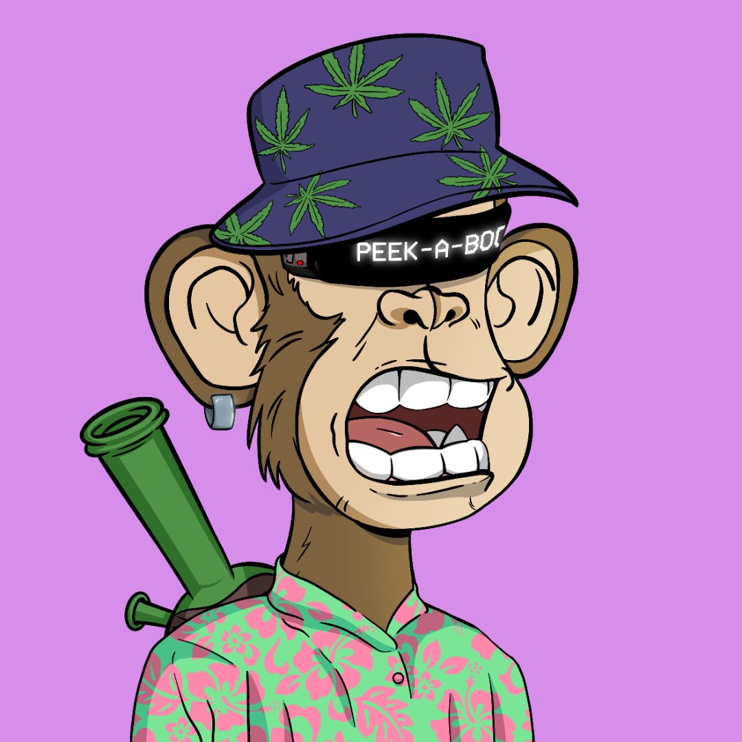 Kunta_Kinte____'s tweet photo. @FossyGFX @TheStonerApes https://t.co/U4QZyuc72x