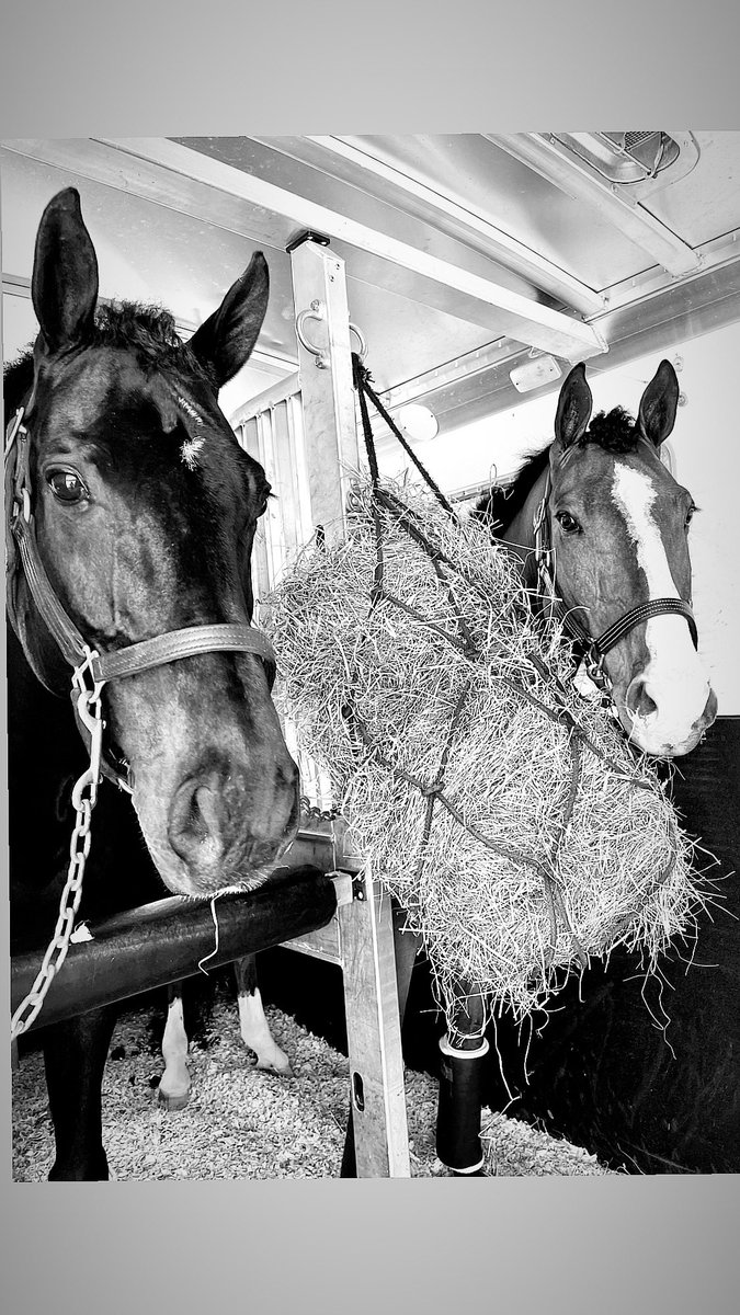 Travelers, the best kind of critics.