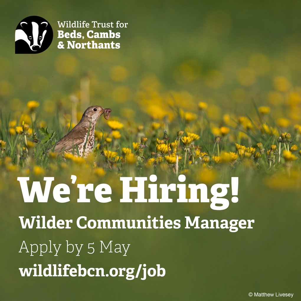wildlifebcn's tweet photo. We have a fantastic opportunity to join our Communities &amp; Wildlife team as Wilder Communities Manager, empowering our team and local people to lead action for wildlife in the communities.  

Find out more about the role and apply today.  
https://t.co/ob96xrVJxT https://t.co/iLPDTZ68AX
