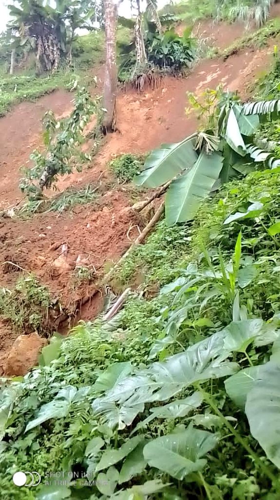 T_argos's tweet photo. #Burundi Une pluie diluvienne qui s’est abattue dans l'après-midi de ce lundi a occasionné beaucoup d'éboulements de terrain sur la colline #Kibande de la commune #Mabayi en @CibitokeProvince. La population fait appel au secours. #Abatwip https://t.co/JQ2AfyJn75