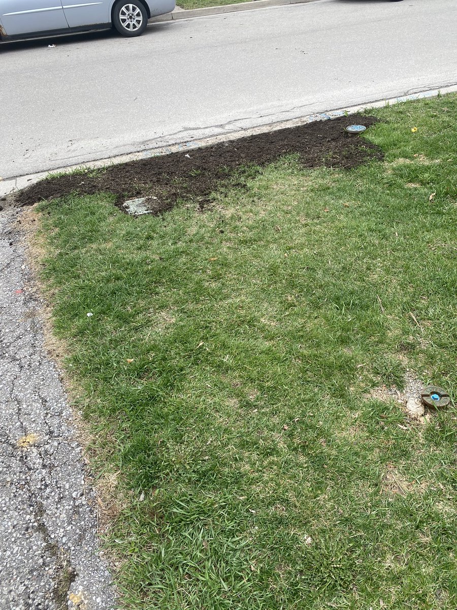 Hey <a href="/Bell/">Bell</a> - you asked my mom for permission to work on her front lawn for YOUR internet. She didn’t answer your request or provide you with consent, so you just went ahead with it?