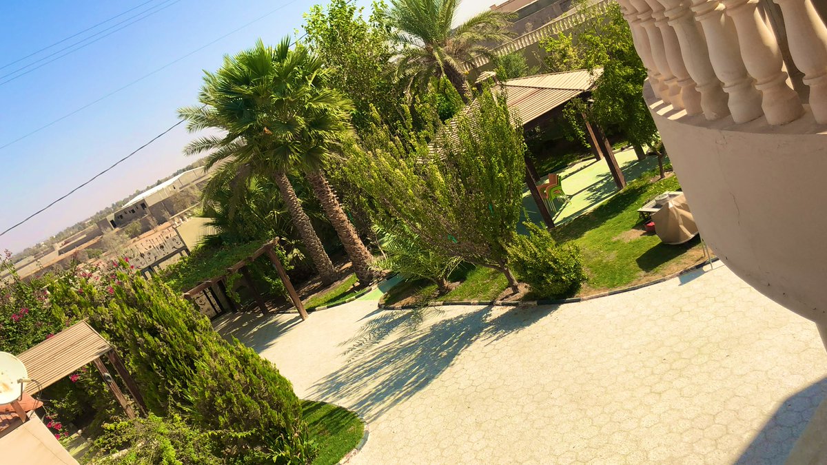 راشد الحسرهـ tweet media