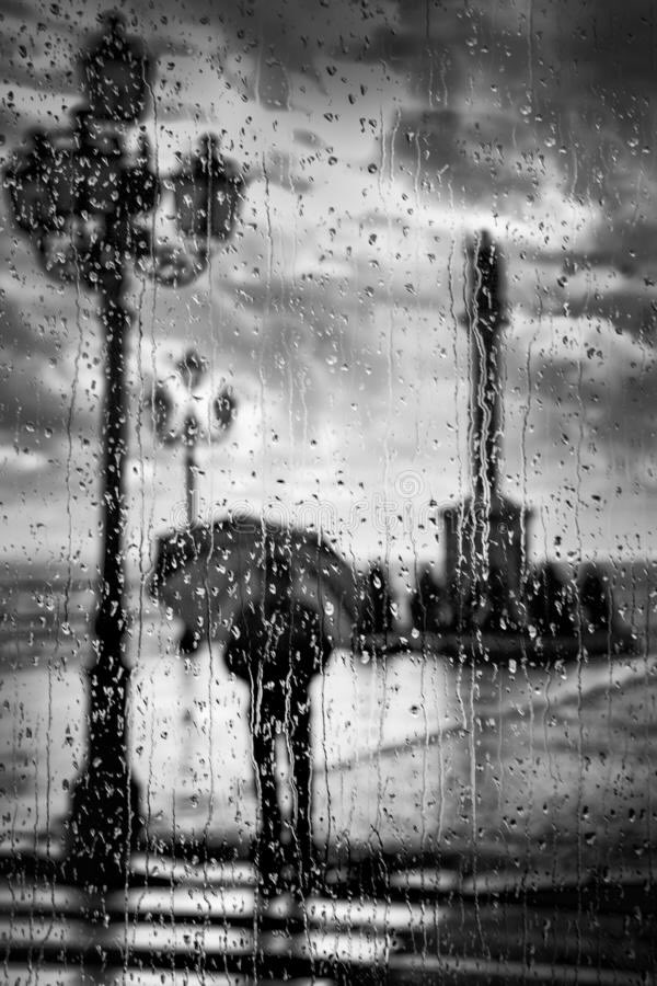 Vala Afshar tweet media