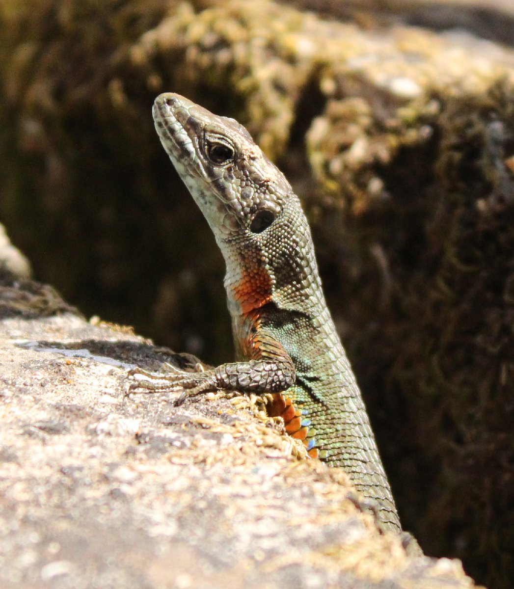 Sotiria Boutsi tweet media