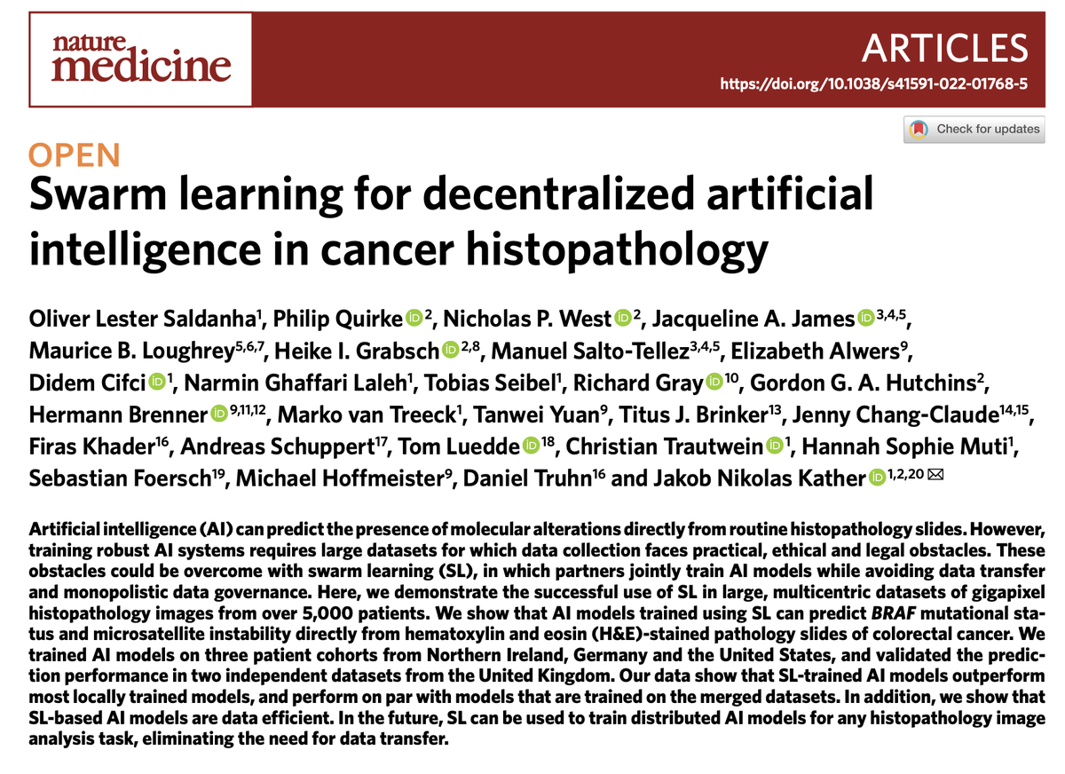 jnkath's tweet photo. Our new paper is out in @NatureMedicine: "Swarm learning for decentralized #AI in cancer histopathology" 🐦💻🔬, by🥇PhD student @lester_saldanha et al. https://t.co/2mwDumP79I. @EKFZdigital @UniklinikAachen @RWTH @DKFZ  @NCT_HD @NCT_UCC_DD @UniversityLeeds 🇪🇺 (1/3) https://t.co/RoS3Wnjc9V