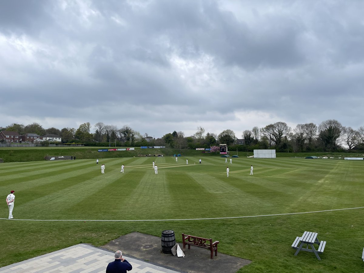 Abbeydale 😍🦁🏏