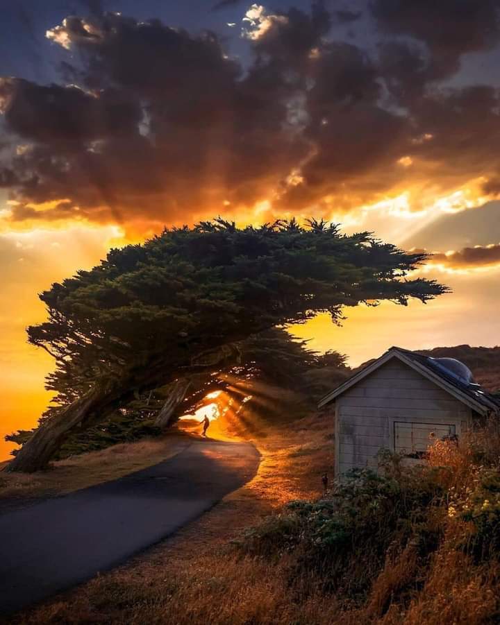 Good night. Magic dreams.✨💛🌟