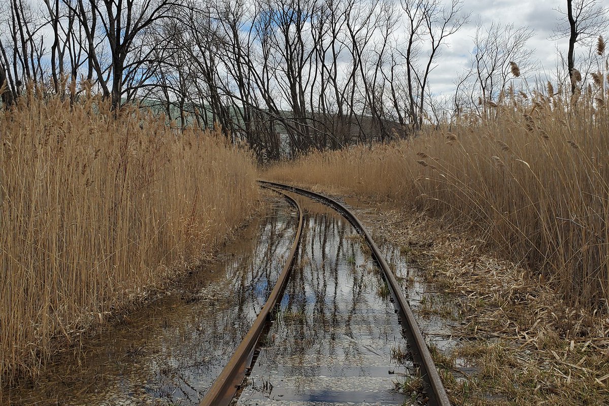 chiarchitecture's tweet photo. Interesting piece from @ChicagoMag on what's south of the Southside.
https://t.co/NupyoxzLoY
#Chicago #architecture #southside #ChicagoMagazine #ChicagoMag #HistoricChicago #Chicagohistory
📸: Edward McClelland https://t.co/VCFodx48Xr