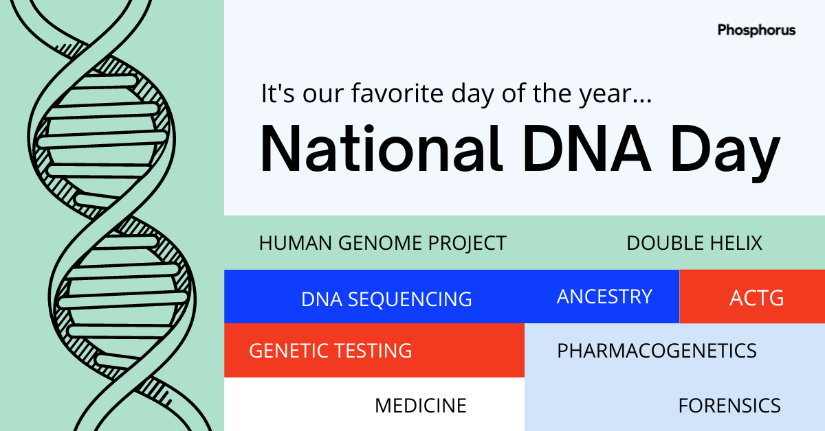 Phosphorus tweet media