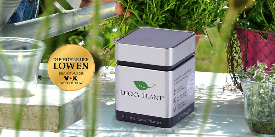 QVC Deutschland (@wirsindqvc) on Twitter photo Da hat es doch schon wieder "gedümmelt"! Der Löwe <a href="/RalfDuemmel/">Ralf Dümmel</a> hat sich LUCKY PLANT, das Superfood für alle Pflanzen, gesichert! Ab jetzt findest du den Deal bei uns im Shop: bit.ly/3rpAkAl
#dhdl #deal #ralfduemmel #löwe #plants #outdoor #garden Da hat es doch schon wieder "gedümmelt"! Der Löwe <a href="/RalfDuemmel/">Ralf Dümmel</a> hat sich LUCKY PLANT, das Superfood für alle Pflanzen, gesichert! Ab jetzt findest du den Deal bei uns im Shop: bit.ly/3rpAkAl
#dhdl #deal #ralfduemmel #löwe #plants #outdoor #garden
