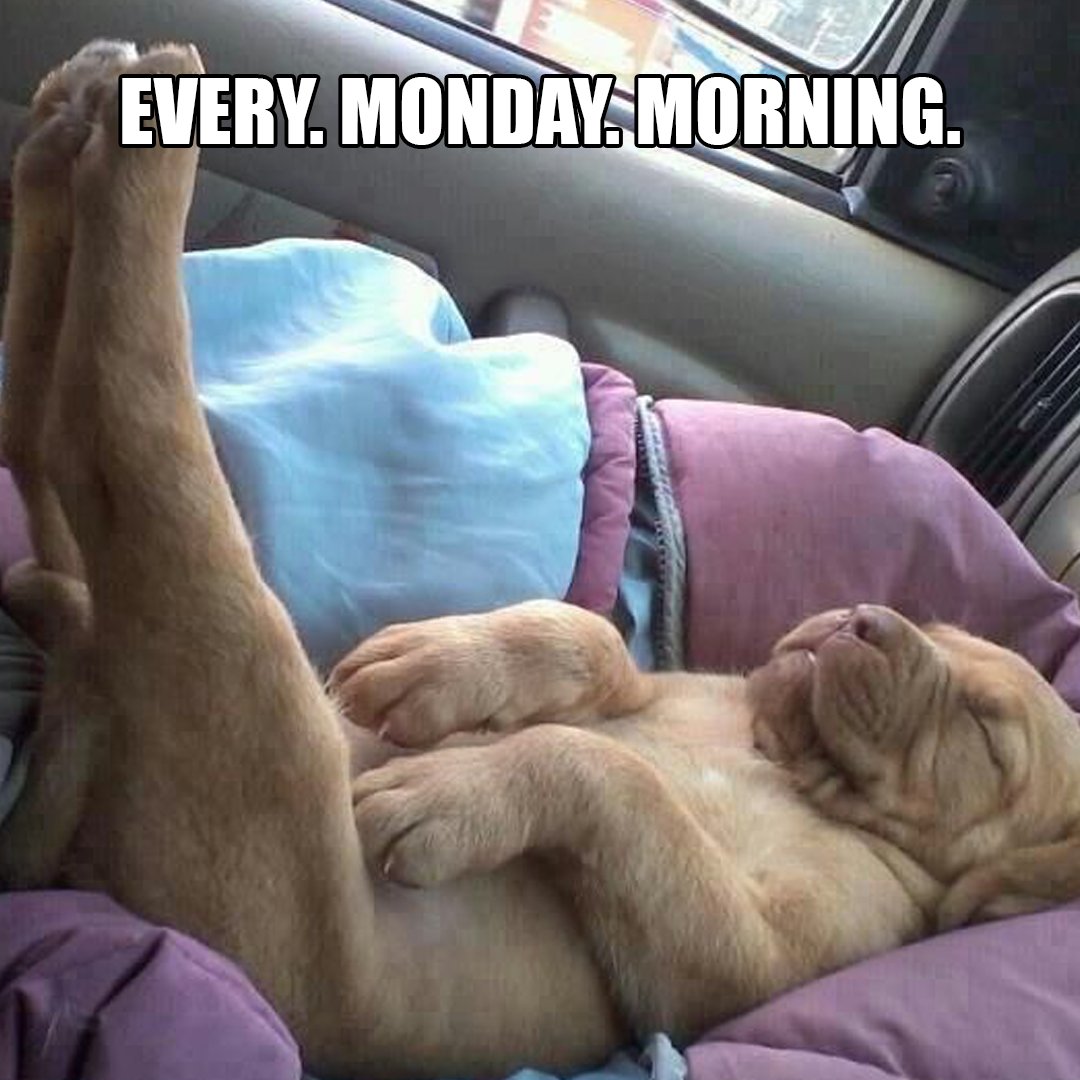 CleanBowlClub's tweet image. No caption needed.... 
#cleanbowlclubnyc #healthyfood #monday