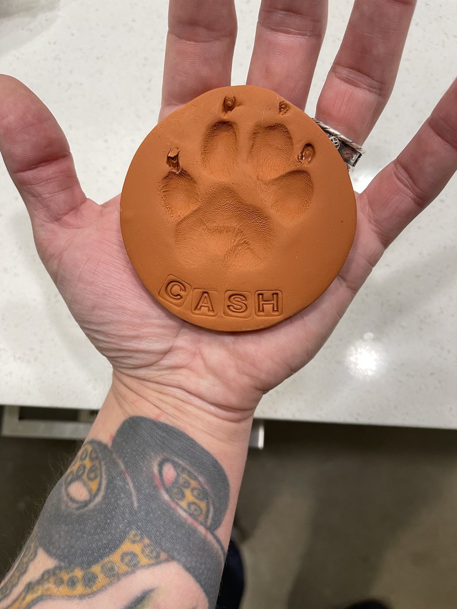 CW: Pet Loss. 

Today marks 1 month since we had to say goodbye to Cash, our pup of 13 years. Even a month later, the world still seems to shine less without him. Thank you for everything, Cash, we will never not love you. You were the goodest boy, we'll be back for you some day.