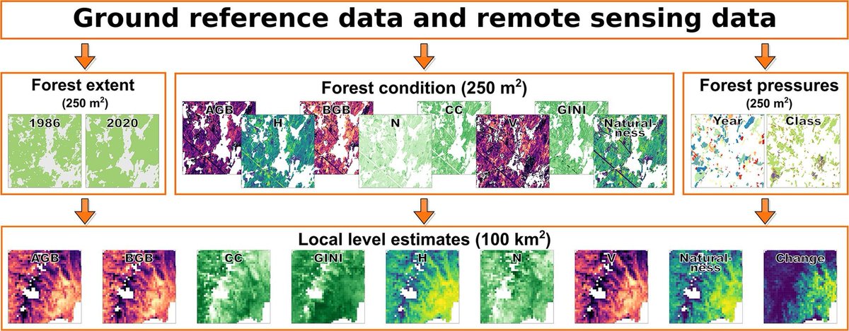 Mike Wulder tweet media