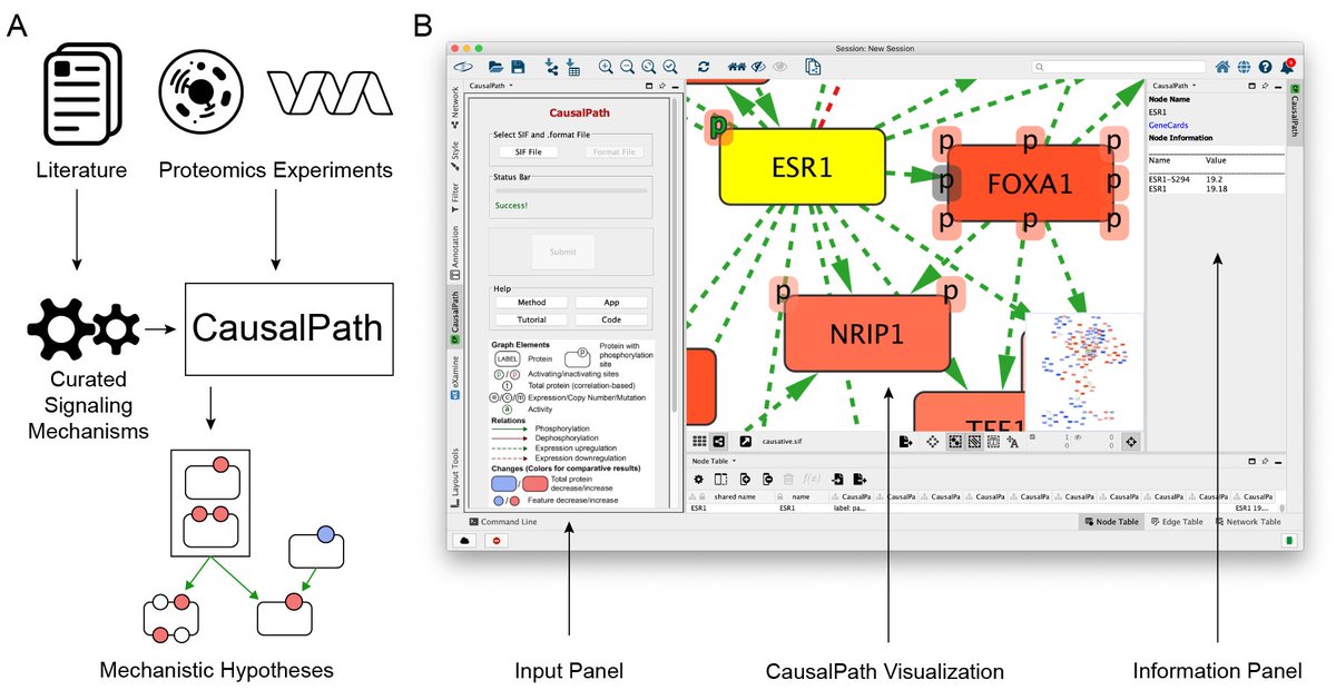 Exploring causal relationships in proteomic profiles in Cytoscape using the CausalPath App f1000research.com/articles/11-45… #GSoC #networkbiology #dataviz #NRNB @ozgunbabur @xanderpico @F1000Research @JUFET #Cytoscape