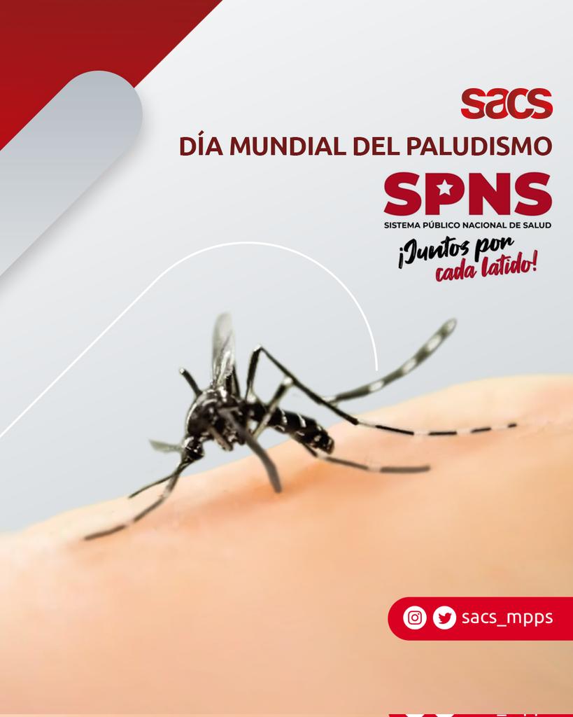 sacs_ve's tweet photo. Se trata de una enfermedad causada por un parásito, transmitido por la picadura de un mosquito infectado. Los síntomas pueden incluir fiebre, vómito y/o dolor de cabeza. 

En América, se considera que 132 millones de personas viven en áreas de riesgo de contraerlo. https://t.co/Tht4lHBtil