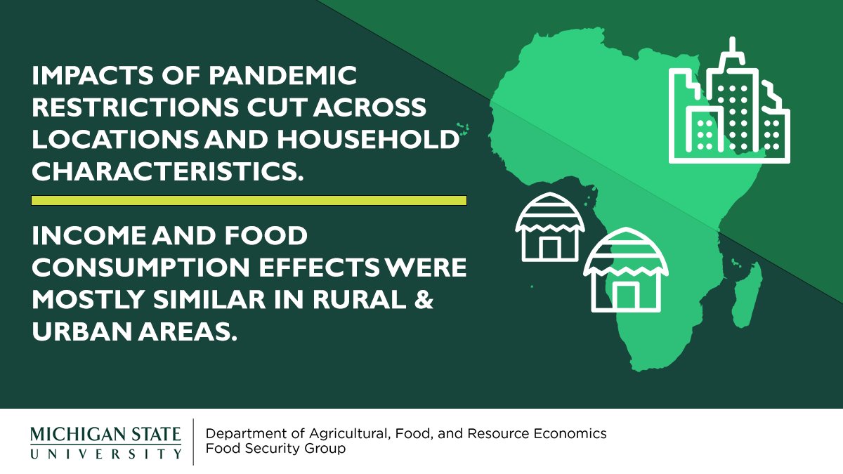 Impacts of pandemic restrictions cut across locations and household characteristics.
Income and food consumption effects were mostly similar in rural &amp; urban areas.

Research by: 
<a href="/maredia/">Mywish K. Maredia</a> <a href="/SawedaTasie/">Saweda Liverpool-Tasie</a> <a href="/DavidTschirley/">David Tschirley</a>

Read the full paper: 
<a href="/Journal_GFS/">Global Food Security</a>
 bit.ly/3ukTrgJ