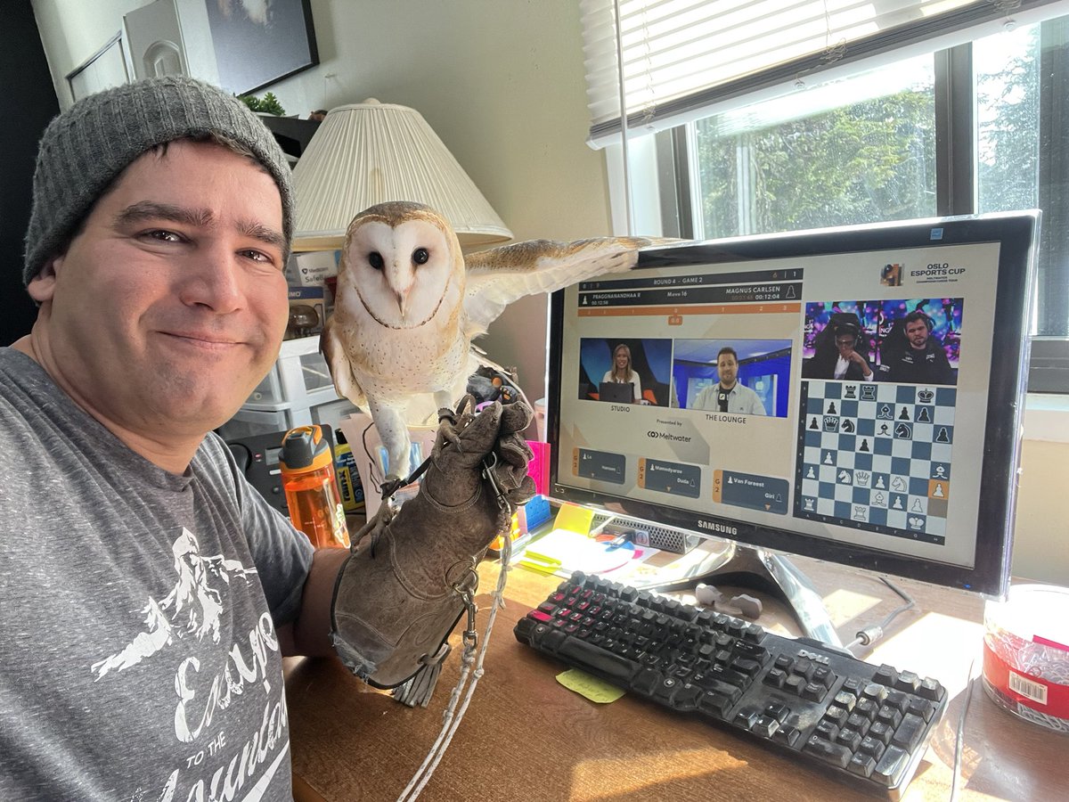 Watching the <a href="/ChessChamps/">ChessChamps</a> Oslo Esports Cup Meltwater Chess Tour with my friend Cleo the Barn Owl - teaching her some new moves!