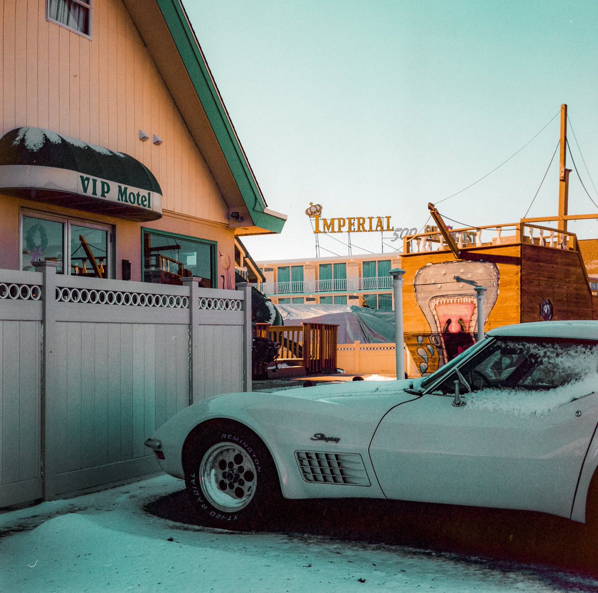 film camera            vs            the film 🎞